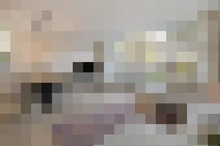 Weidelaan 170 Raalte thumbnail 7