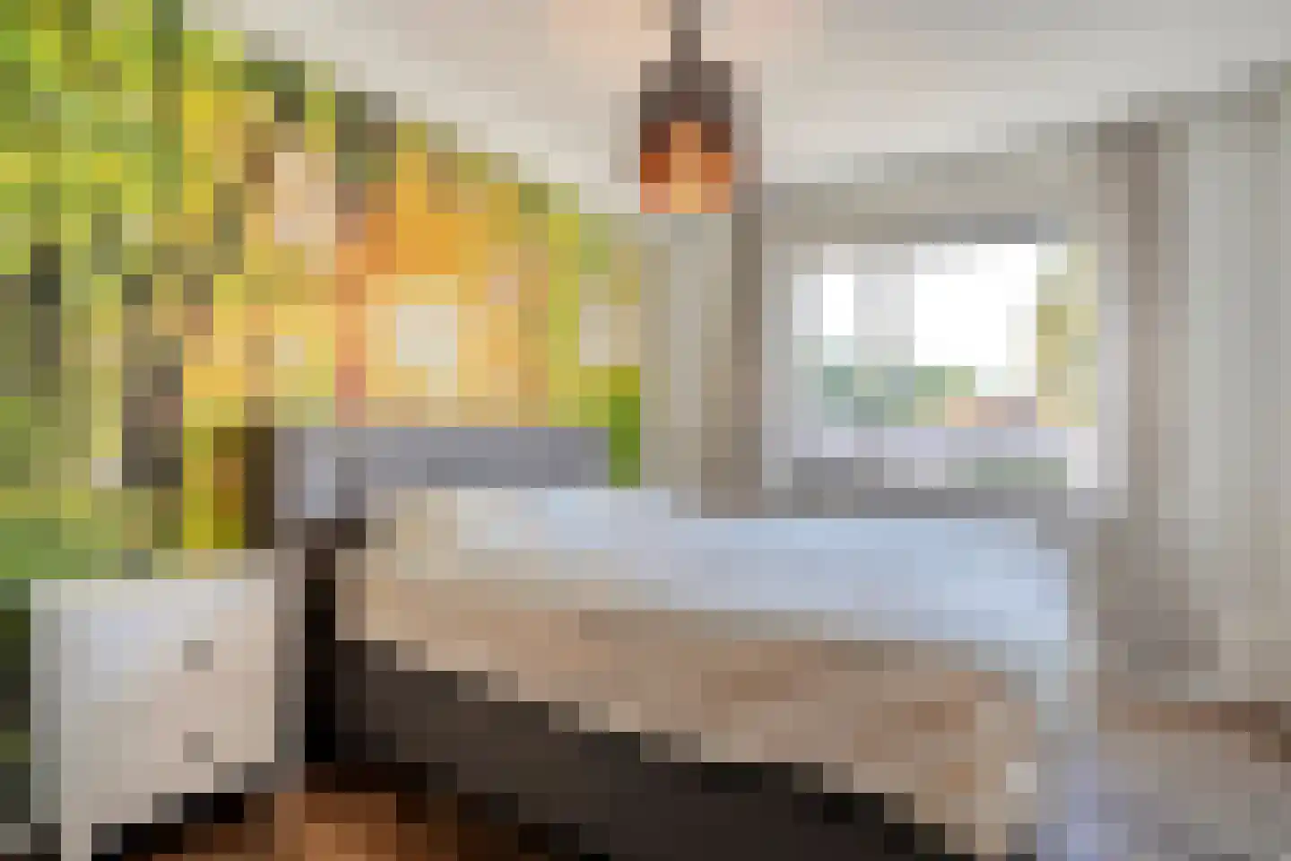 Weidelaan 177 Raalte thumbnail 31
