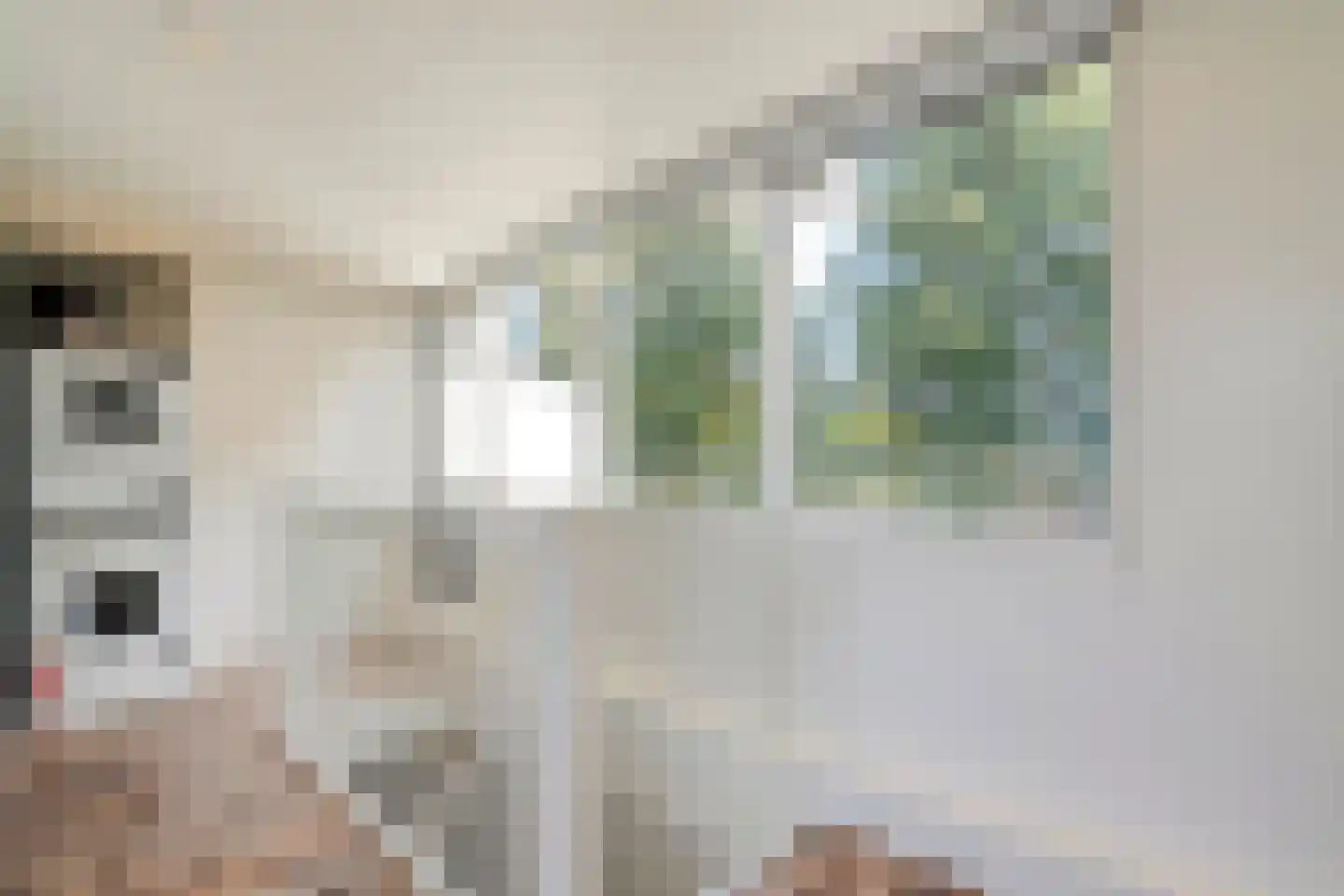 Weidelaan 177 Raalte thumbnail 40