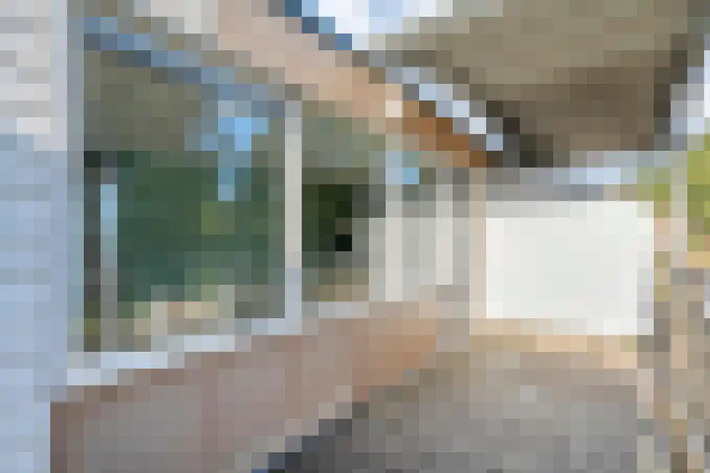 Weidelaan 177 Raalte thumbnail 44