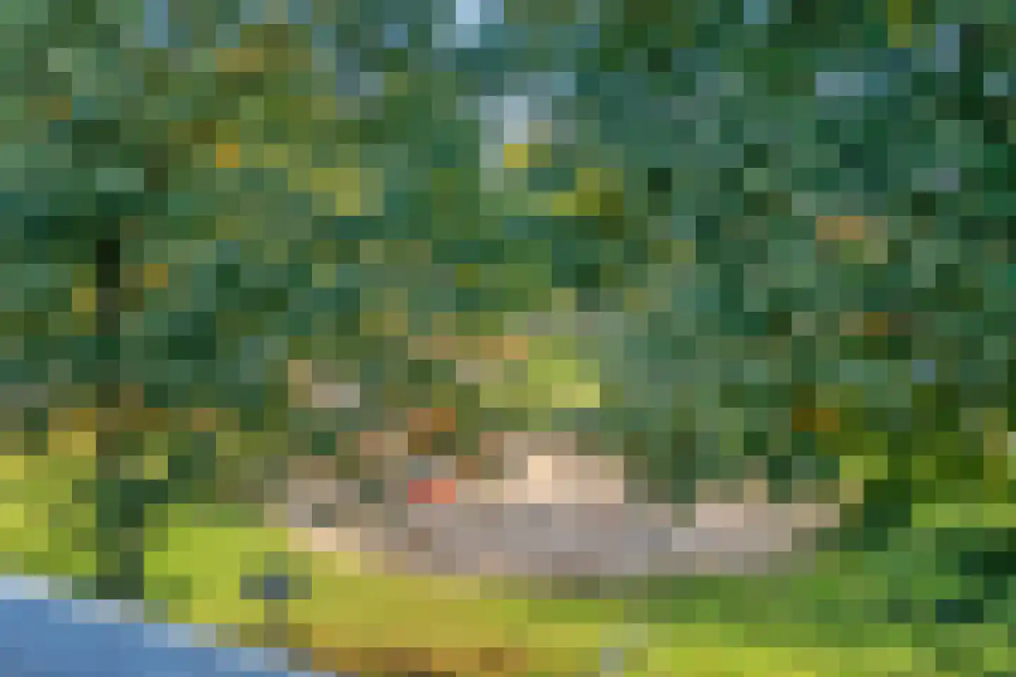 Weidelaan 177 Raalte thumbnail 46