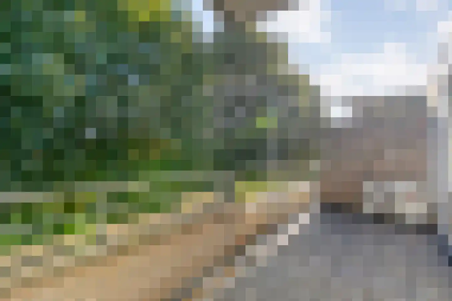 Weidelaan 177 Raalte thumbnail 47