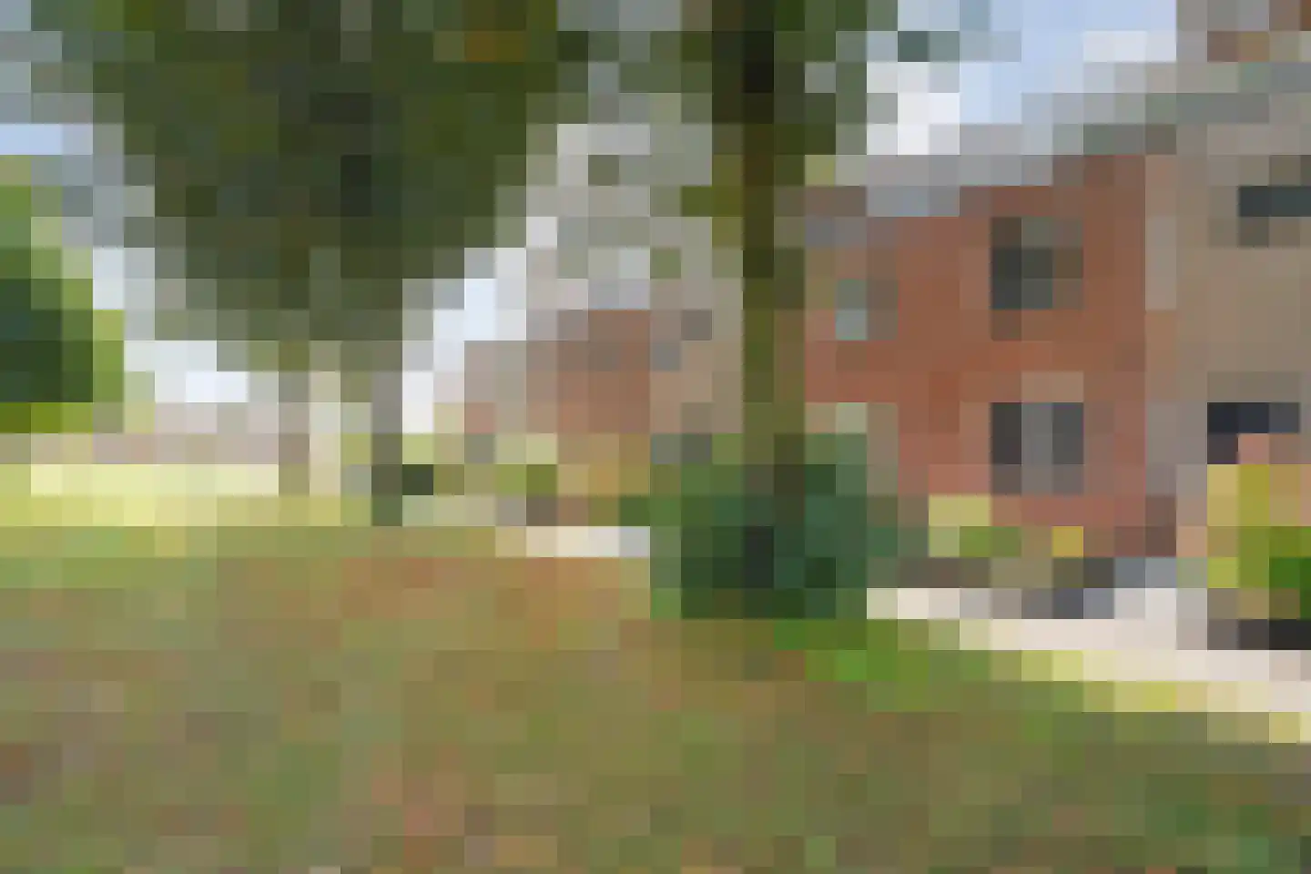 Weidelaan 177 Raalte thumbnail 8