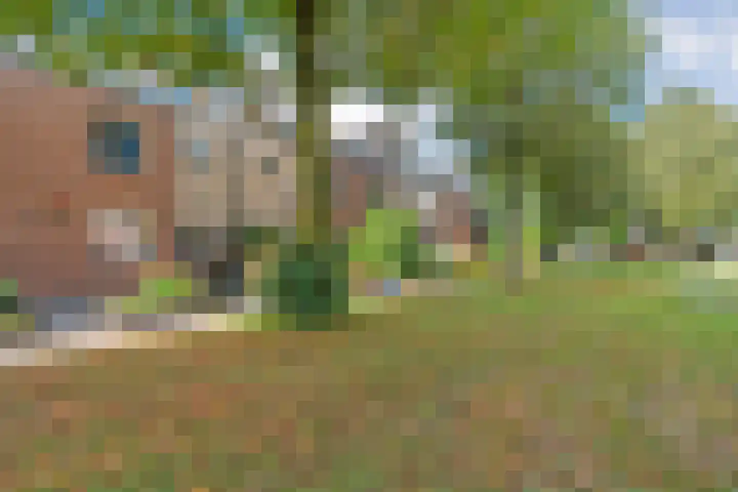 Weidelaan 177 Raalte thumbnail 9