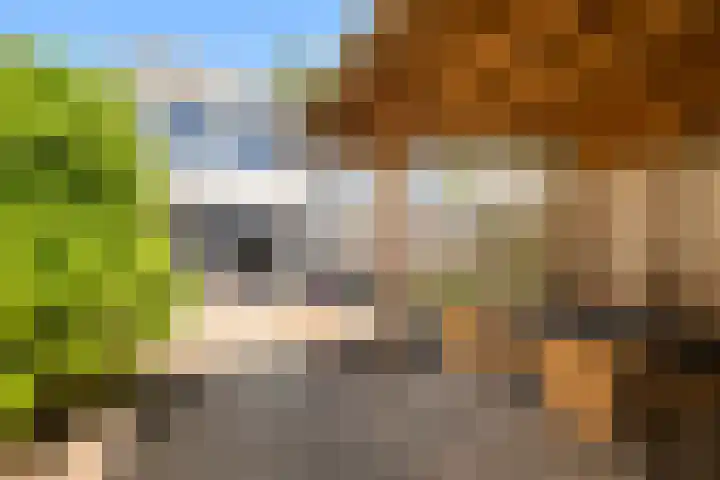 Weidelaan 192 Raalte thumbnail 23