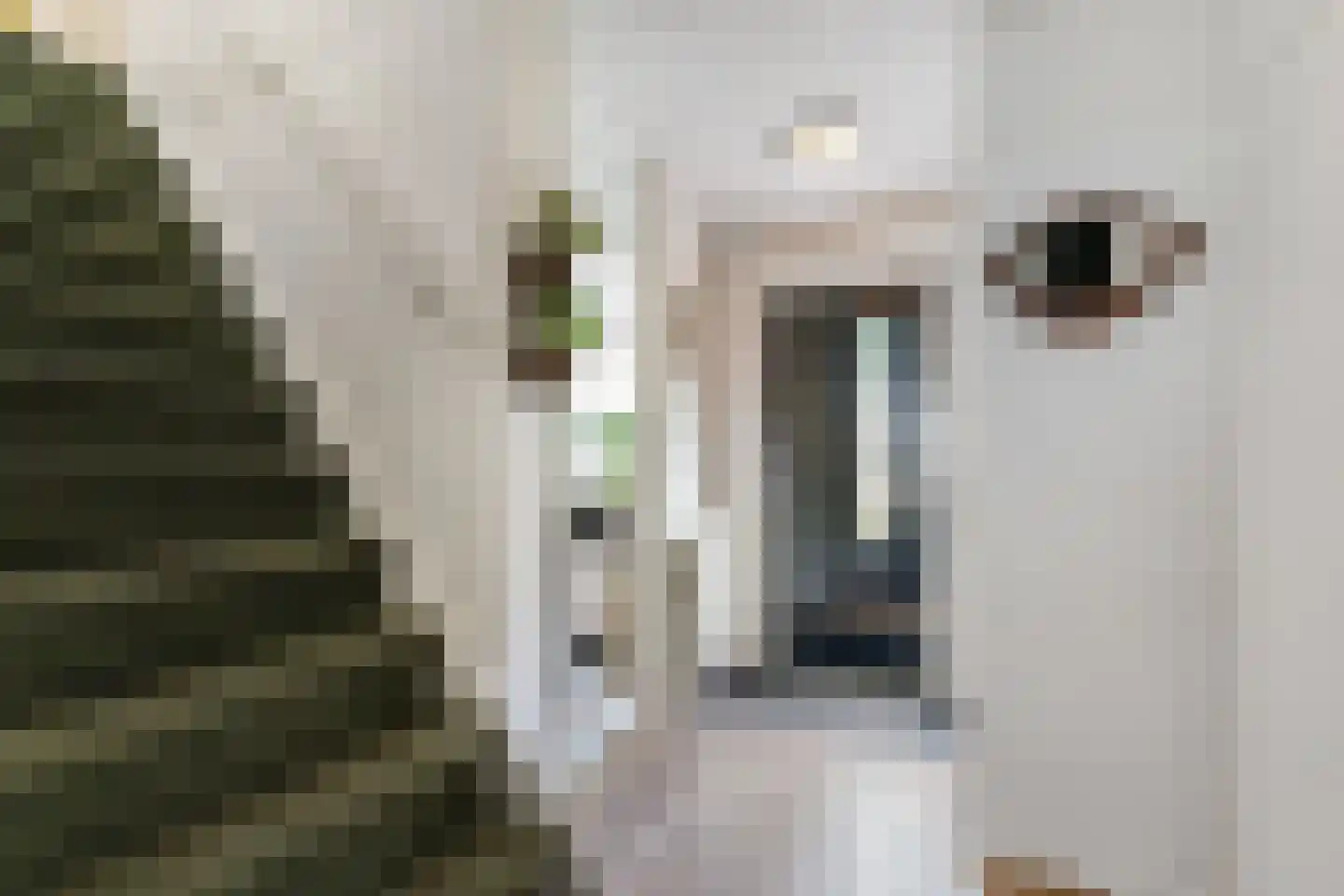 Weidelaan 205 Raalte thumbnail 16