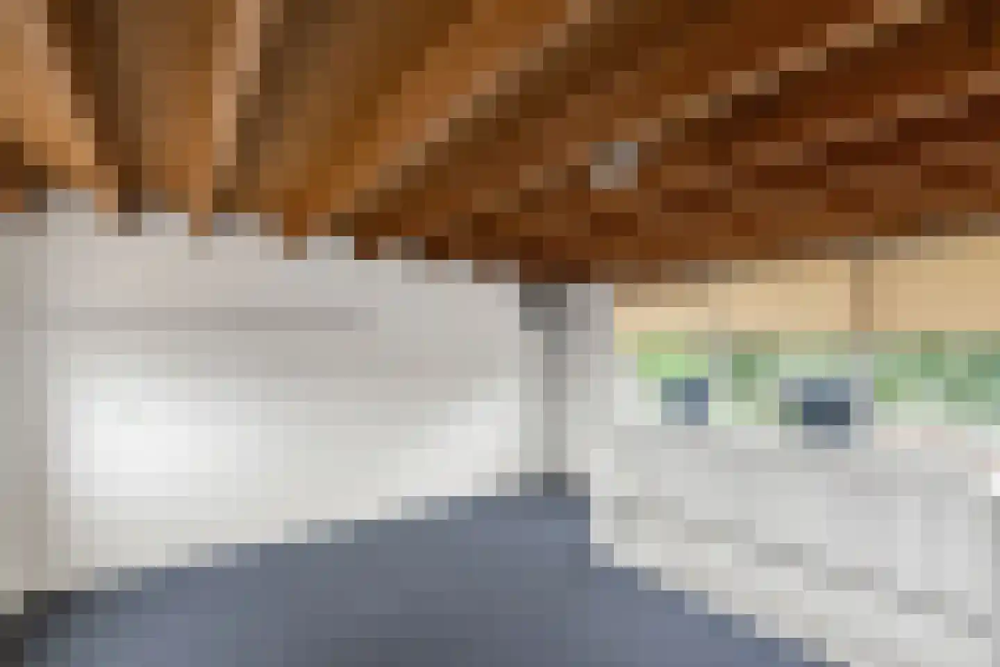Weidelaan 205 Raalte thumbnail 26