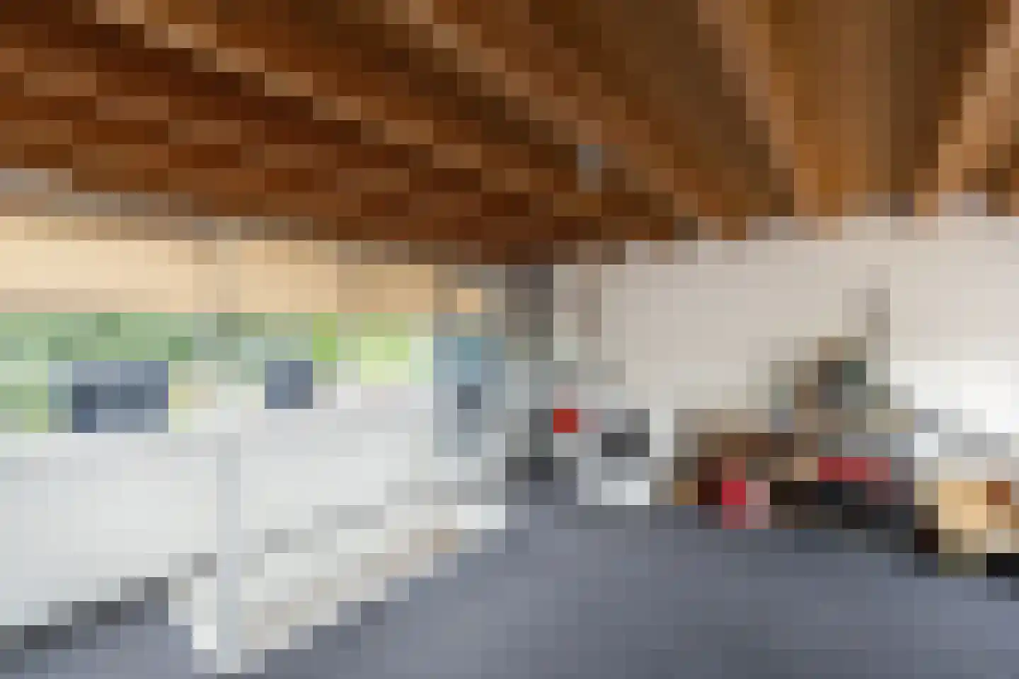 Weidelaan 205 Raalte thumbnail 27