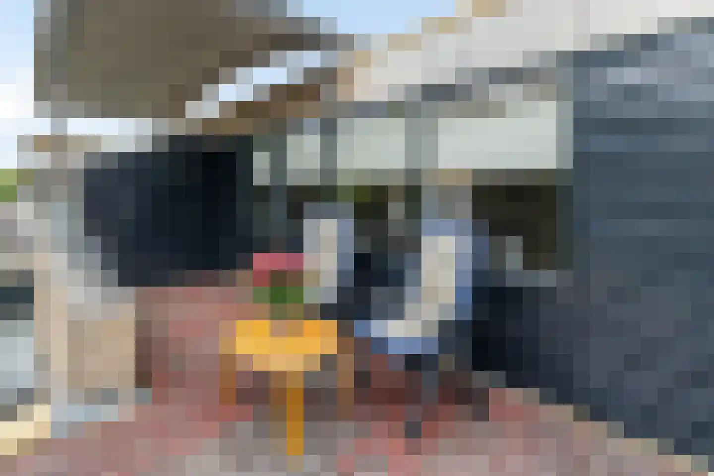 Weidelaan 205 Raalte thumbnail 29