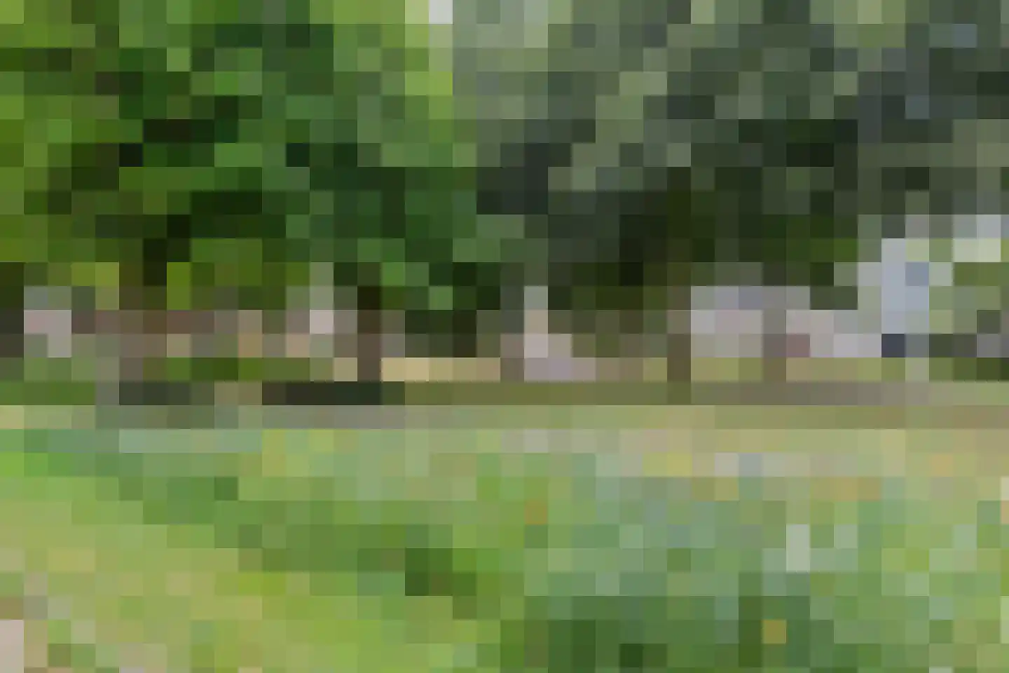 Weidelaan 205 Raalte thumbnail 36