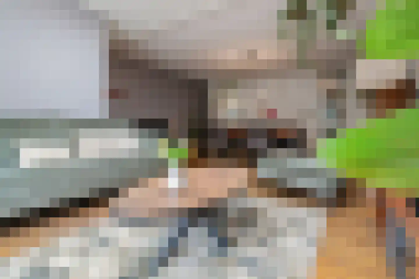 Weidelaan 205 Raalte thumbnail 7