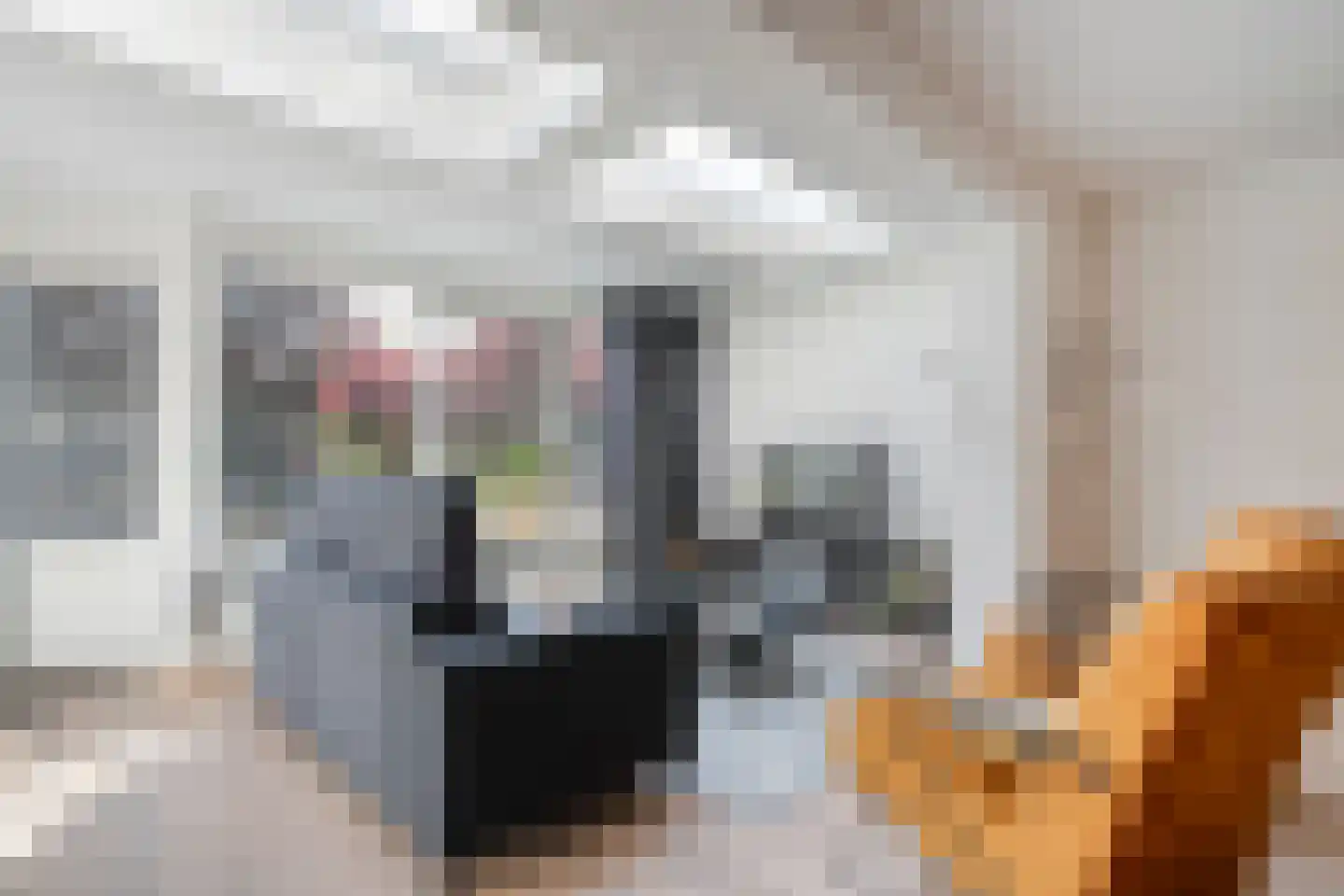 Weidelaan 207 Raalte thumbnail 15