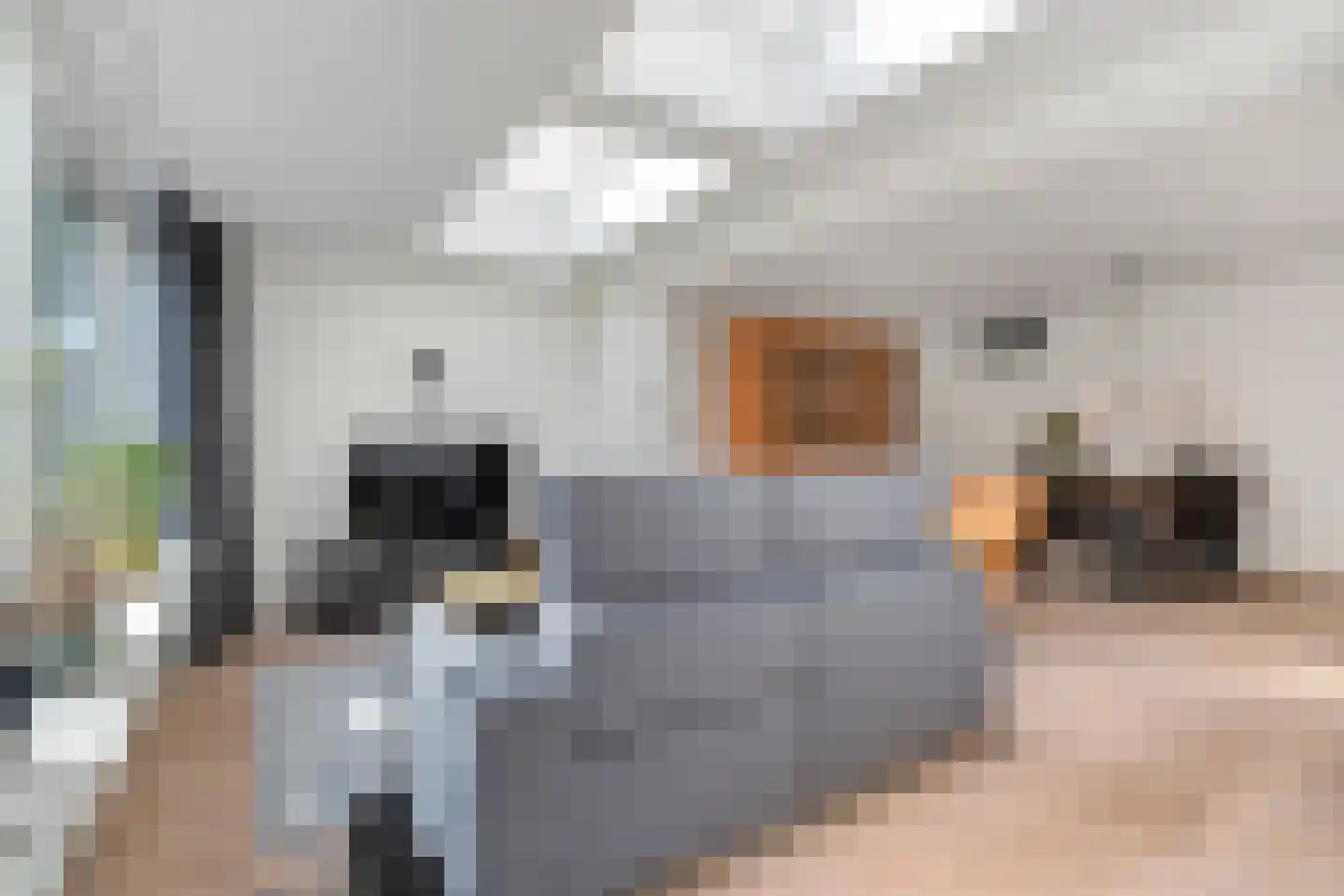 Weidelaan 207 Raalte thumbnail 18
