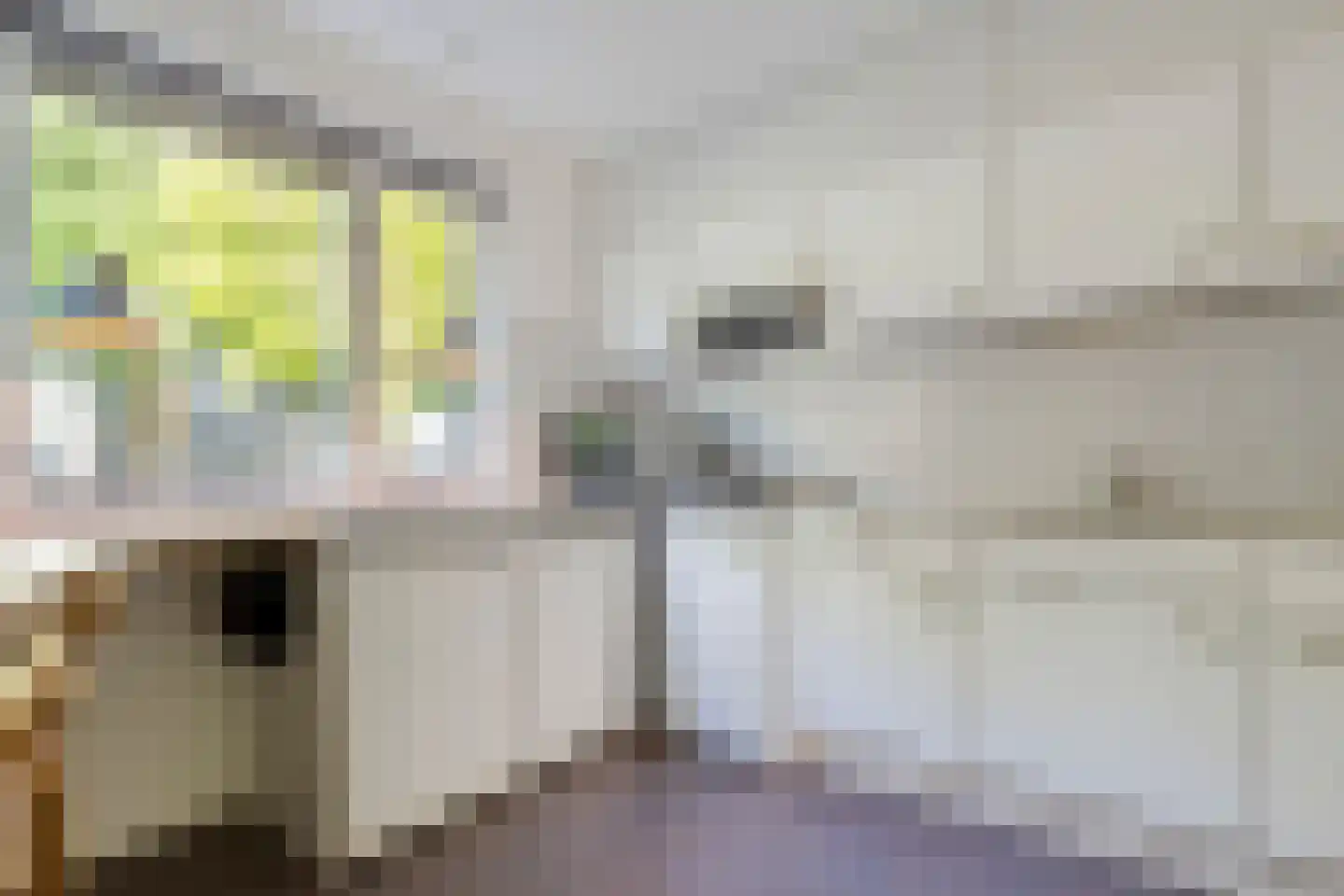 Weidelaan 207 Raalte thumbnail 9