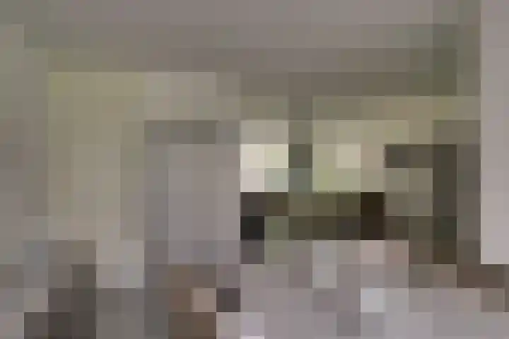 Weidelaan 21 b Twisk thumbnail 12