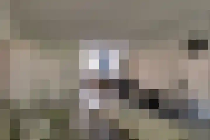 Weidelaan 21 b Twisk thumbnail 13