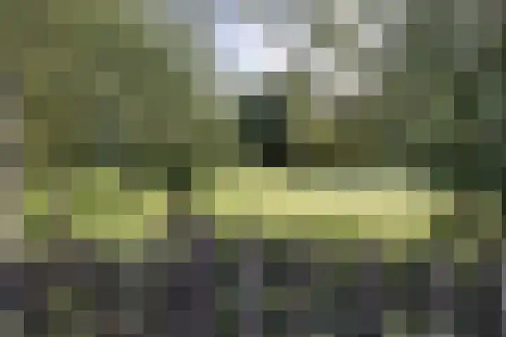 Weidelaan 21 b Twisk foto 2