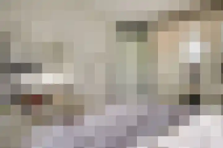 Weidelaan 21 b Twisk thumbnail 21