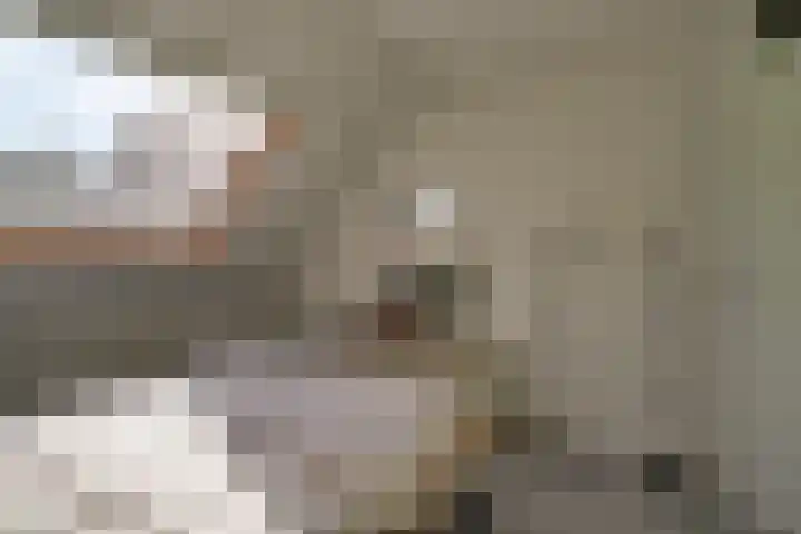 Weidelaan 21 b Twisk thumbnail 23