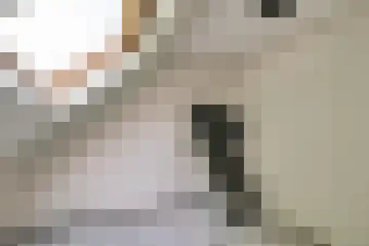 Weidelaan 21 b Twisk thumbnail 26