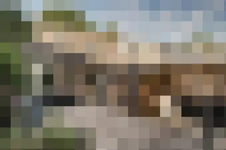 Weidelaan 21 b Twisk thumbnail 31
