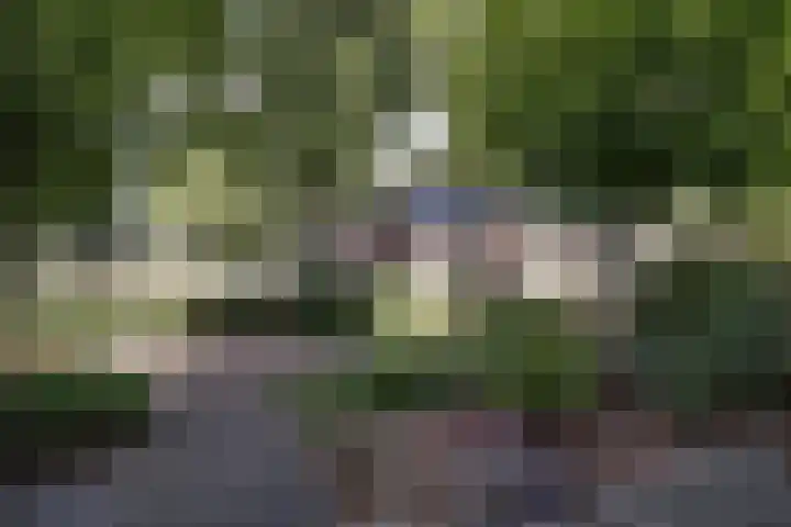 Weidelaan 21 b Twisk thumbnail 36