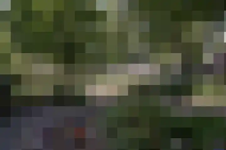 Weidelaan 21 b Twisk thumbnail 38