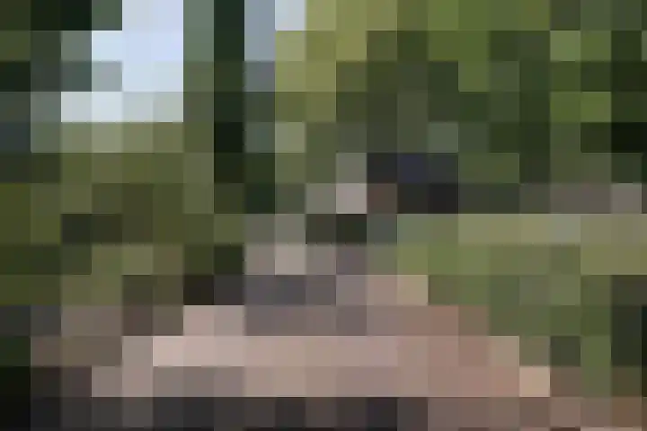 Weidelaan 21 b Twisk thumbnail 40