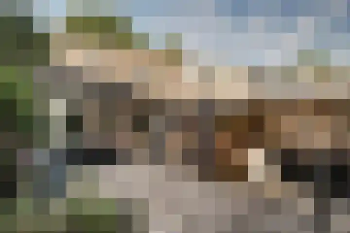 Weidelaan 21 b Twisk thumbnail 5
