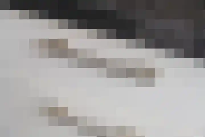Weidelaan 22 Leersum thumbnail 27