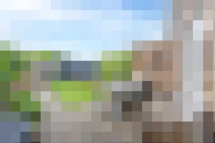 Weidelaan 22 Leersum thumbnail 42