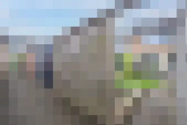 Weidelaan 22 Leersum thumbnail 46
