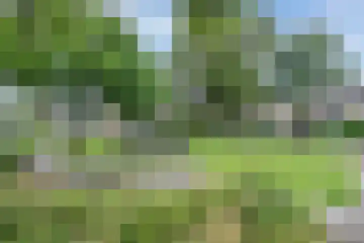 Weidelaan 22 Leersum thumbnail 50