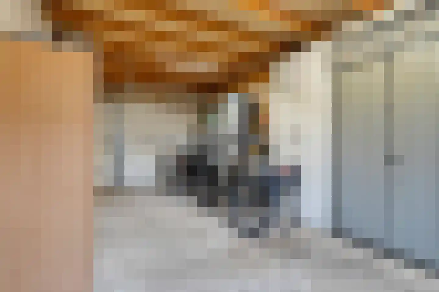 Weidelaan 226 Raalte thumbnail 21
