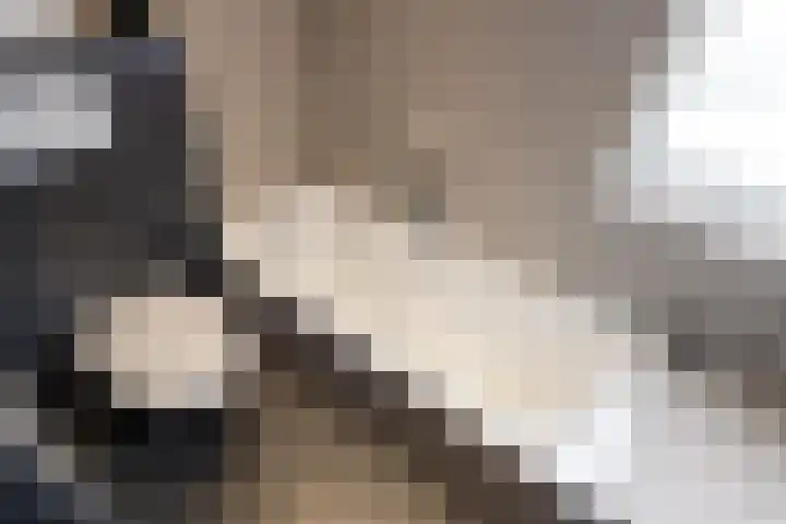 Weidelaan 251 Raalte thumbnail 23