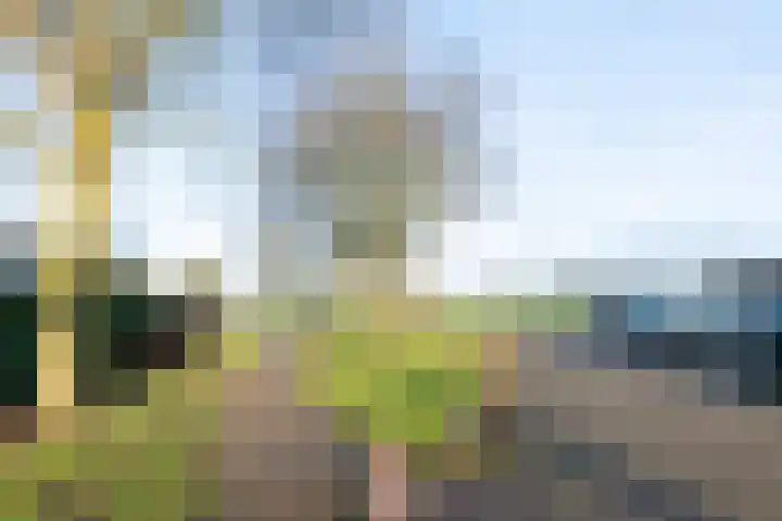 Weidelaan 251 Raalte thumbnail 30