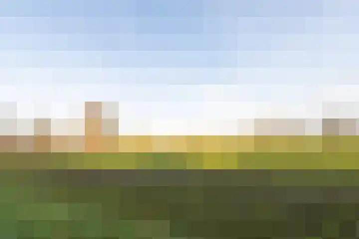 Weidelaan 251 Raalte thumbnail 31
