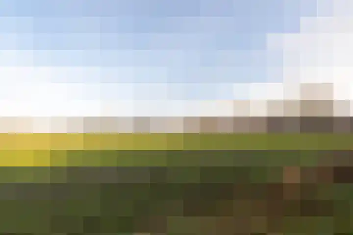 Weidelaan 251 Raalte thumbnail 32
