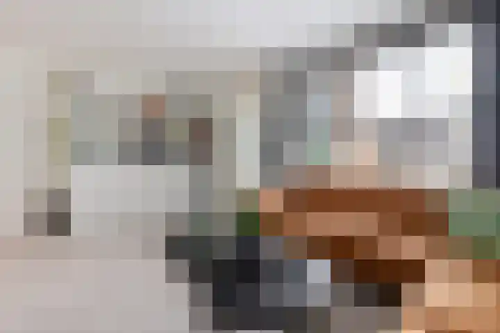 Weidelaan 251 Raalte thumbnail 6