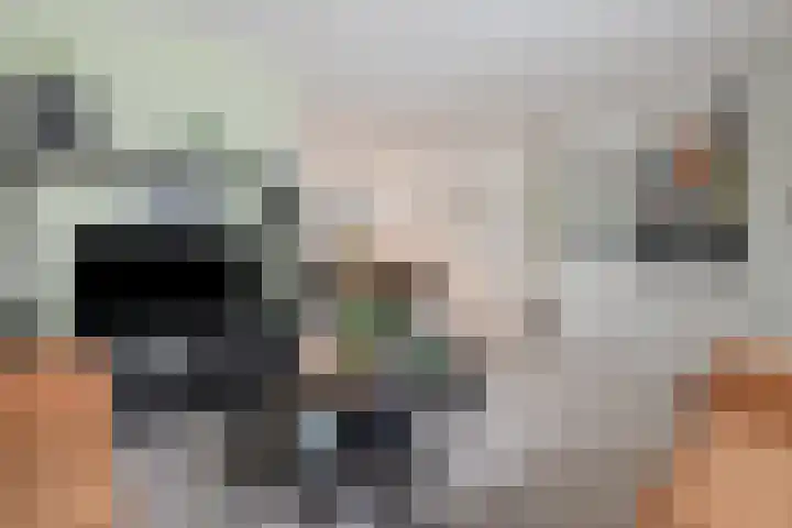 Weidelaan 251 Raalte thumbnail 7