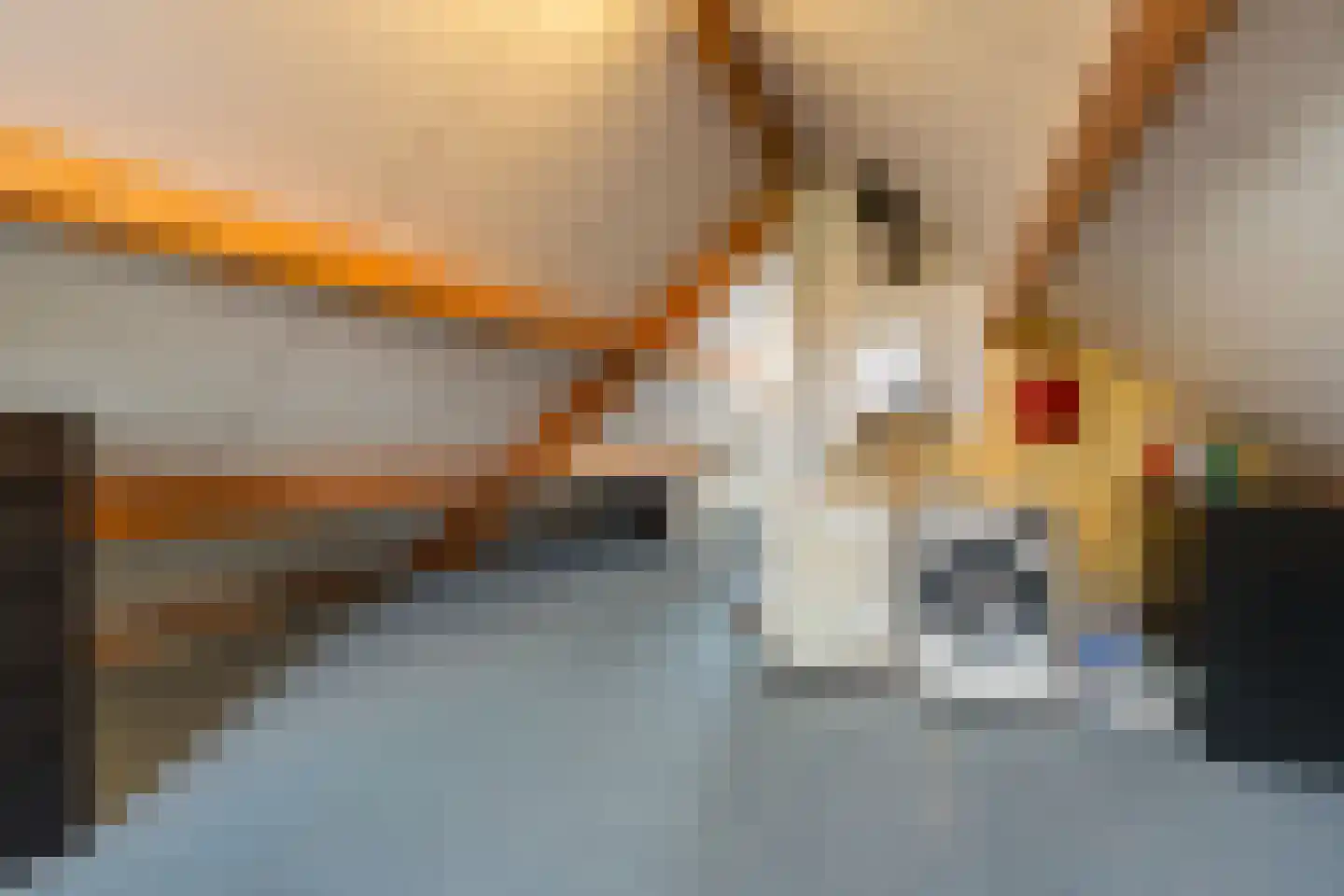 Weidelaan 265 Raalte thumbnail 32