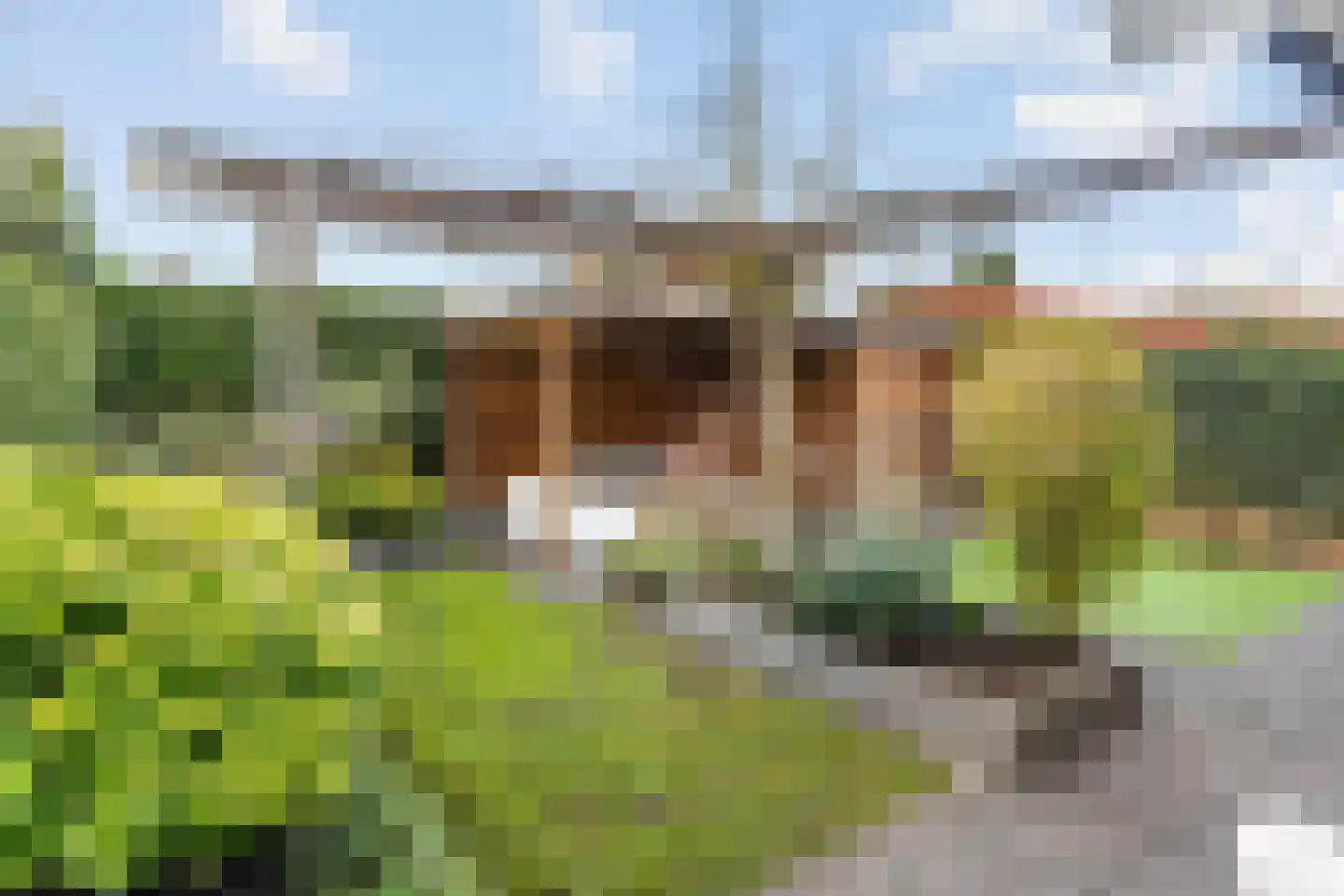 Weidelaan 265 Raalte thumbnail 41