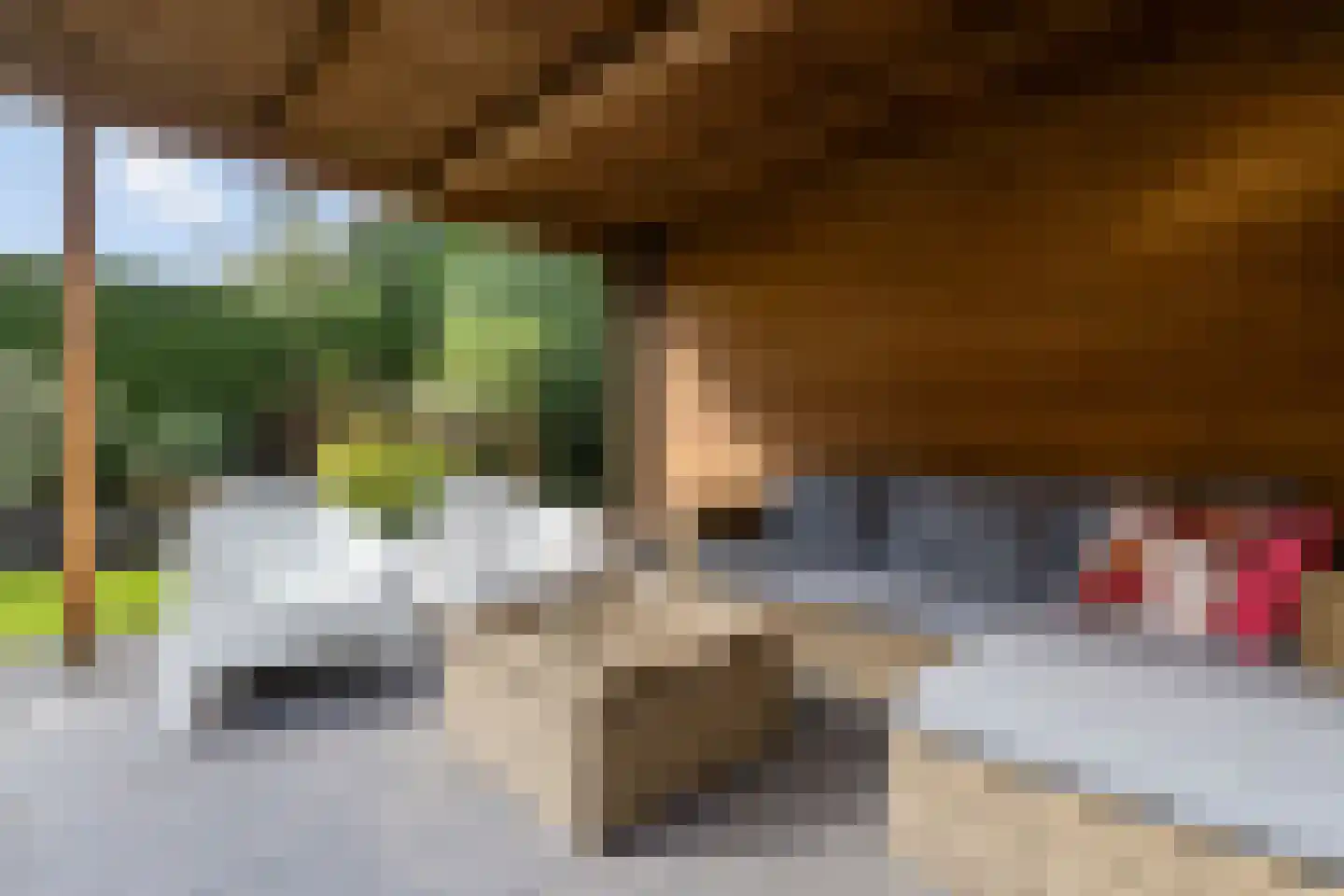 Weidelaan 265 Raalte thumbnail 42