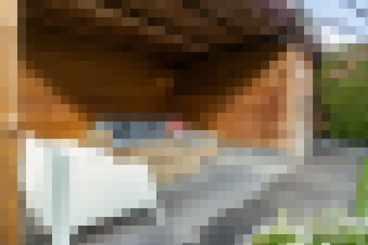 Weidelaan 265 Raalte thumbnail 43