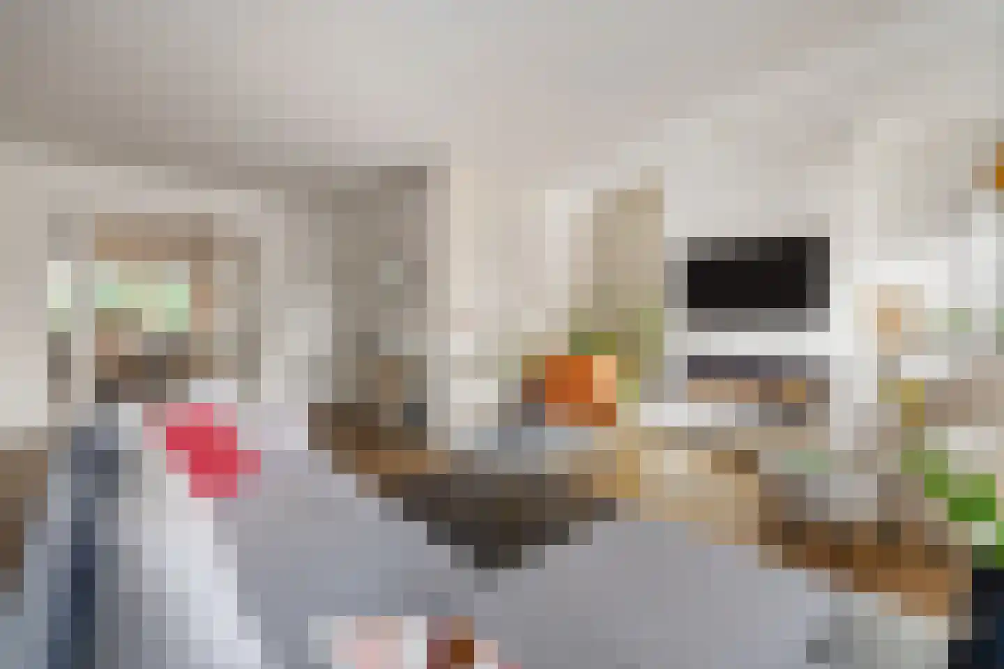 Weidelaan 265 Raalte thumbnail 7