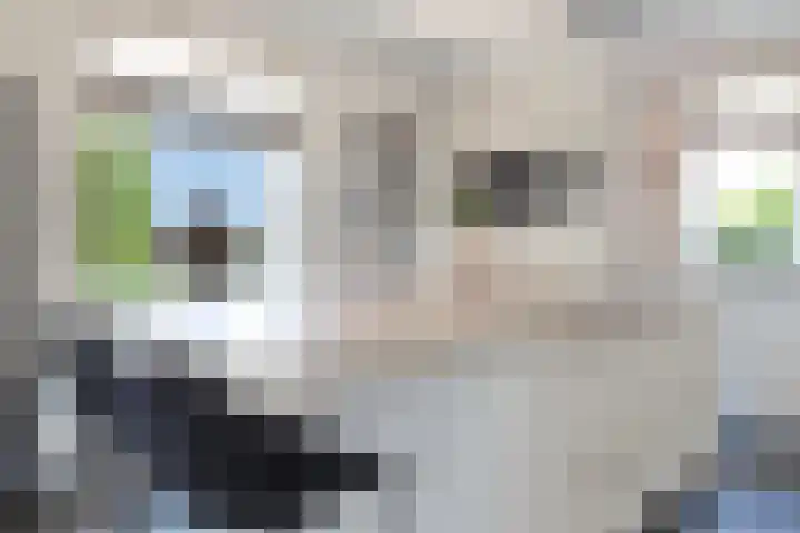 Weidelaan 33 d Hoevelaken thumbnail 10