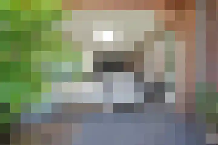 Weidelaan 33 d Hoevelaken thumbnail 15