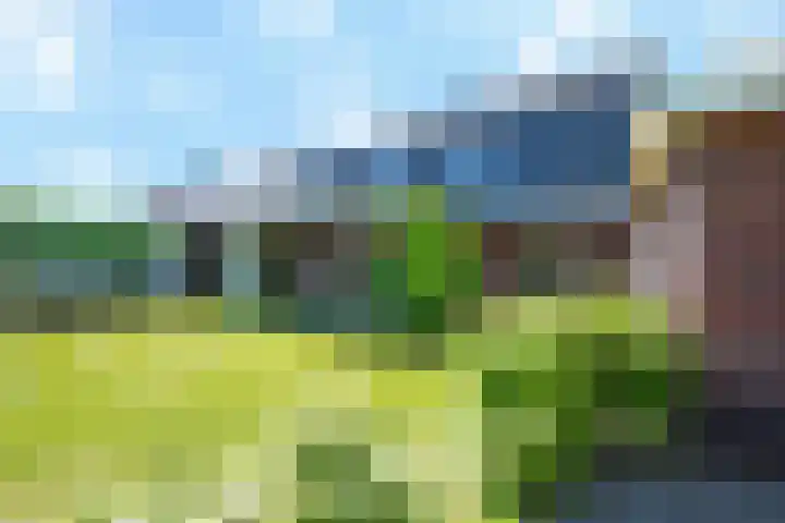 Weidelaan 33 d Hoevelaken thumbnail 17