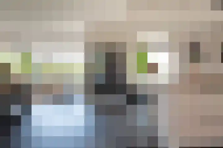 Weidelaan 33 d Hoevelaken thumbnail 29