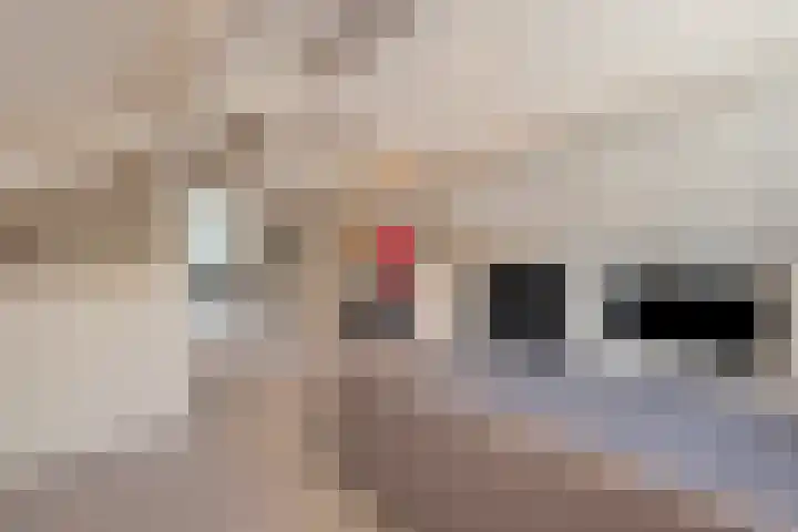 Weidelaan 33 d Hoevelaken thumbnail 54